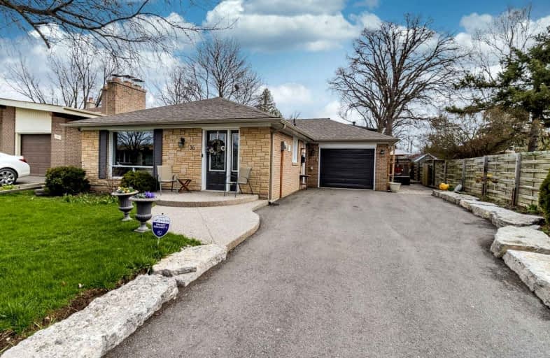 36 Brenda Avenue, Brampton | Image 1