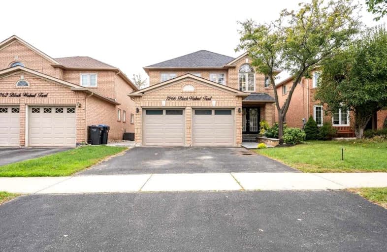 7266 Black Walnut Trail, Mississauga | Image 1