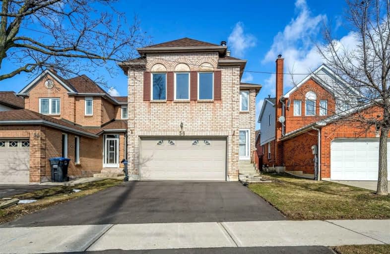 56 Beaconsfield Avenue, Brampton | Image 1