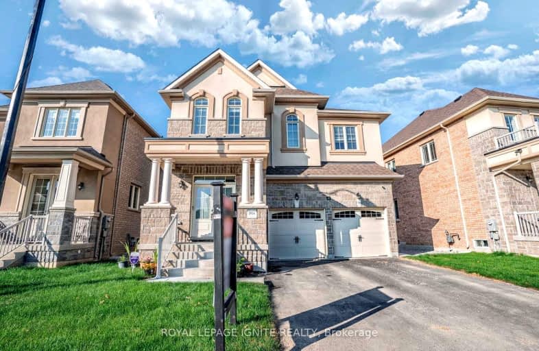 13 Puffin Crescent, Brampton | Image 1