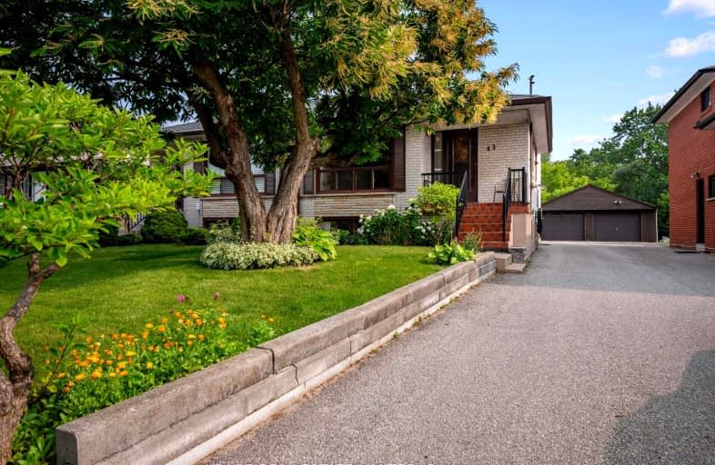43 Upwood Avenue, Toronto | Image 1
