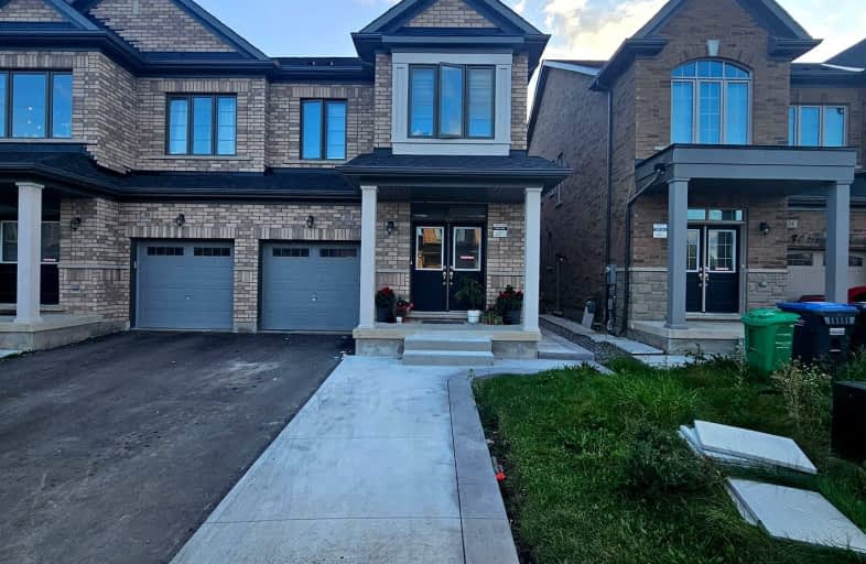 Bsmnt-32 Truffle Court, Brampton | Image 1