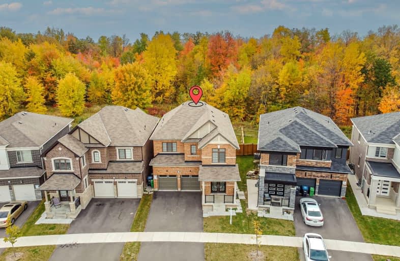 590 Queen Mary Drive, Brampton | Image 1