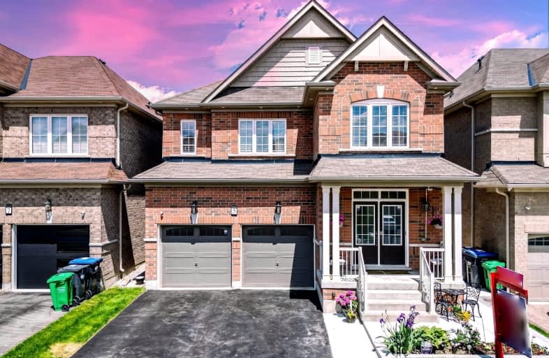 5 Fryent Street, Brampton | Image 1