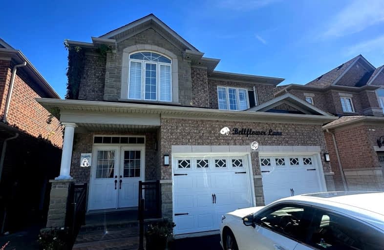 39 Bellflower Lane, Brampton | Image 1