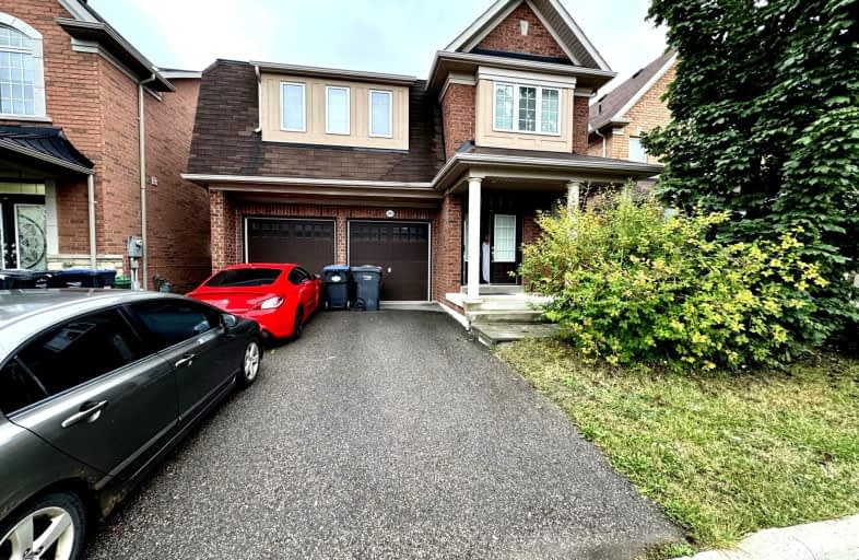 Bsmt-203 Sussexvale Drive, Brampton | Image 1