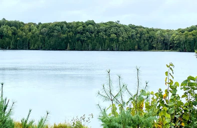  Bruce Trail, Minden Hills | Image 1