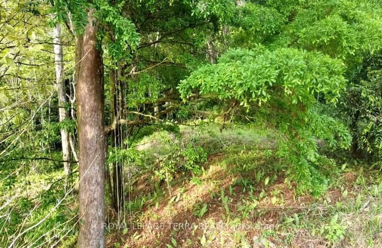 LOT8-65 CINCO VENTANAS Road East, Costa Rica | Image 1