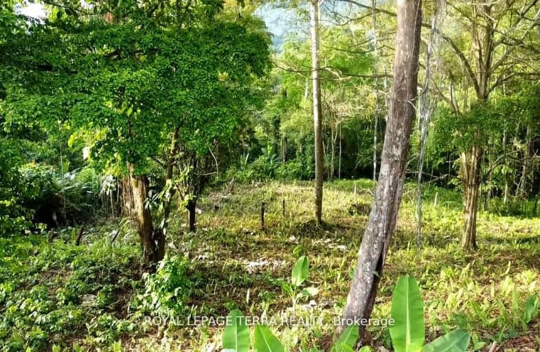 2 Avenida Principle, Costa Rica | Image 1
