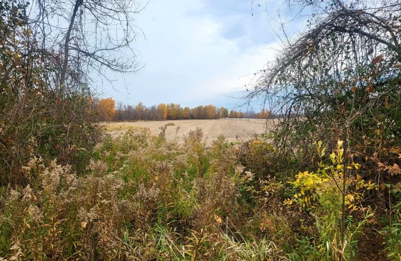 Lot 5 Bush Road, Rideau Lakes | Image 1