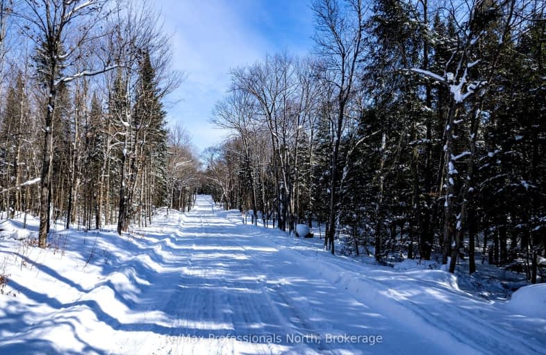  South Horn Lake Road, Burk's Falls | Image 1