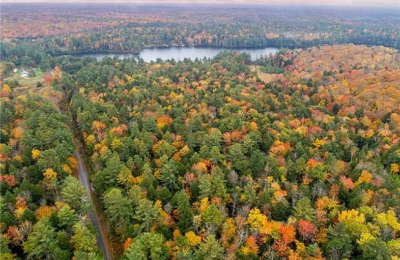 Lt 16 Concession 5, Lake of Bays | Image 1