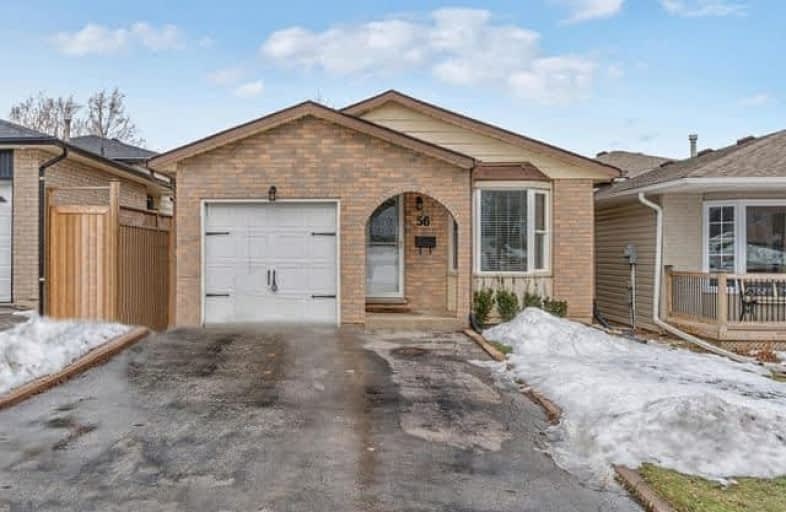 56 Braeheid Avenue, Hamilton | Image 1