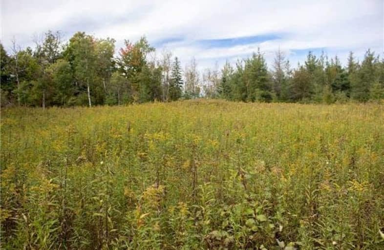 Lot 5 Highway 10, Melancthon | Image 1