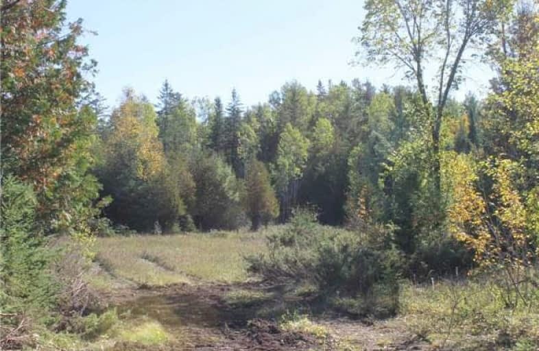 County Road 49 Road, Kawartha Lakes | Image 1