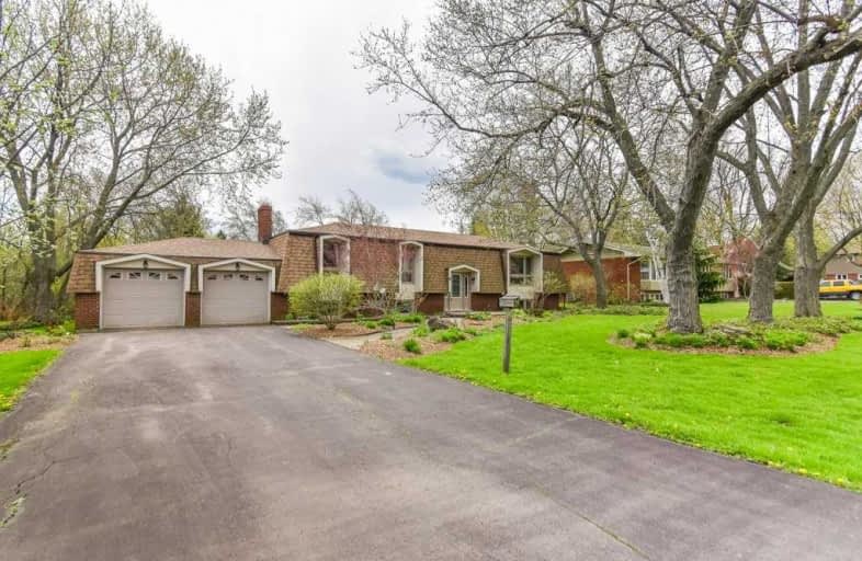 4 Herbert Place, Hamilton | Image 1
