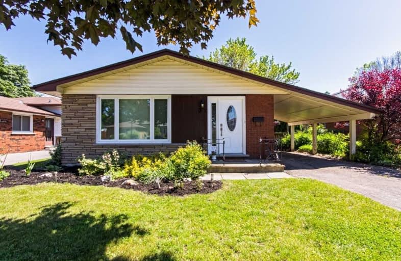 31 Berko Avenue, Hamilton | Image 1
