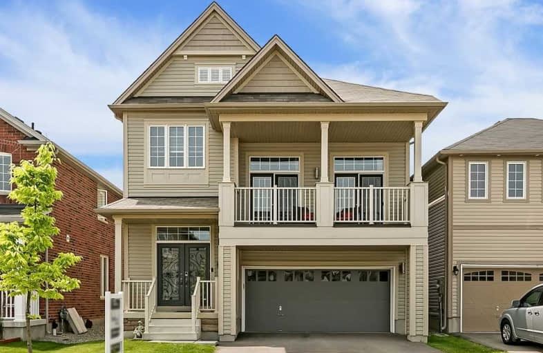 19 Mcallistar Drive, Hamilton | Image 1