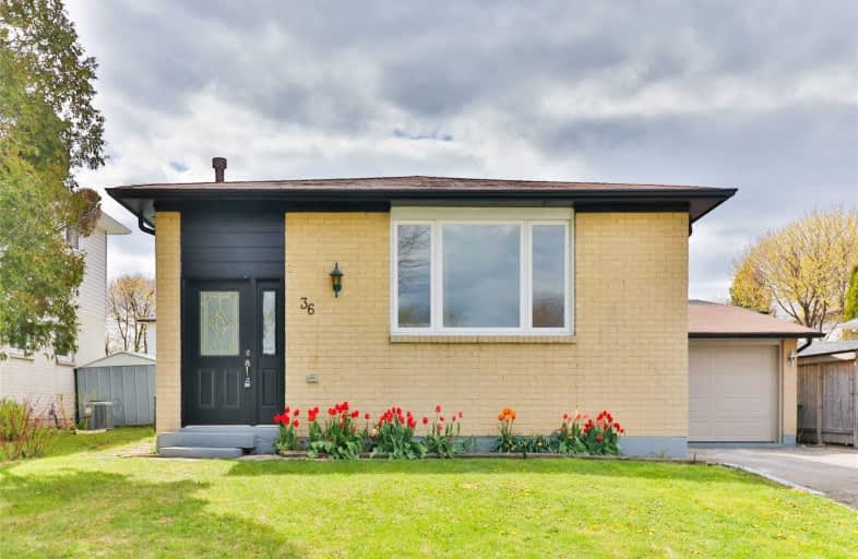 36 Rainham Street, Hamilton | Image 1
