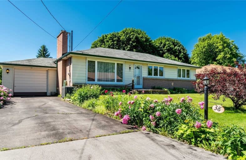 38 Enmore Avenue, Hamilton | Image 1