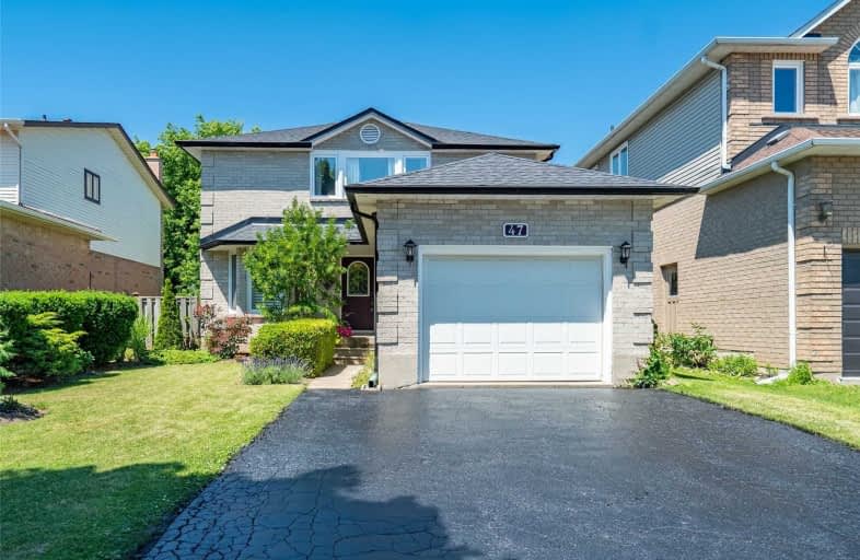 47 Niska Drive, Hamilton | Image 1
