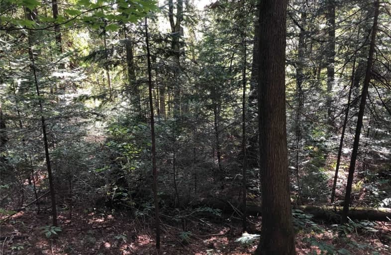 Old Muskoka Road, Bracebridge | Image 1