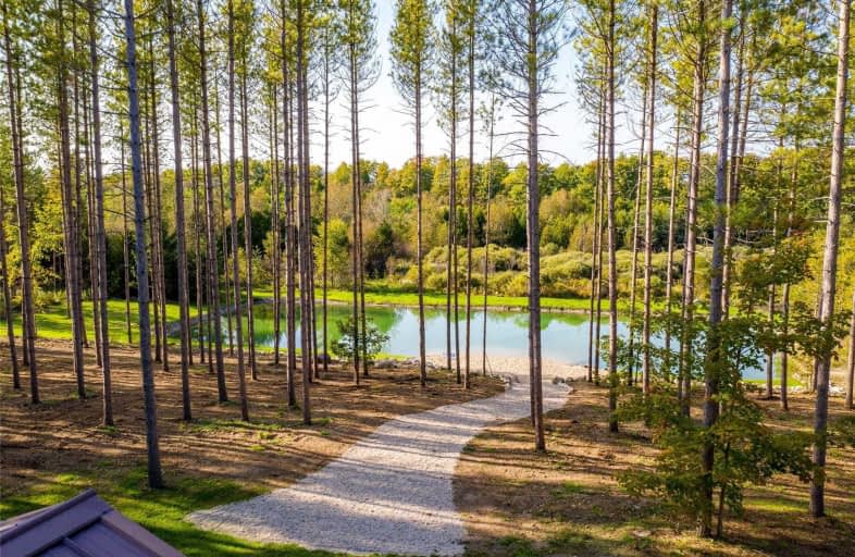 525198 Artemesia-Euph Tline, Grey Highlands | Image 1