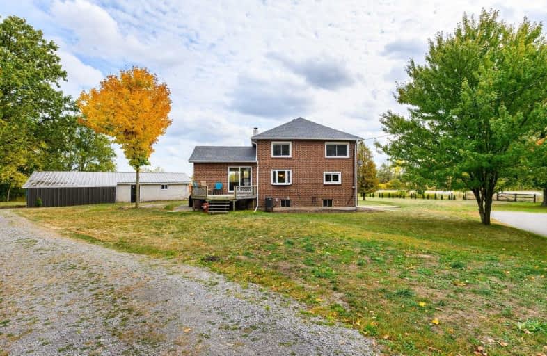 15 Carruthers Lane, Hamilton | Image 1