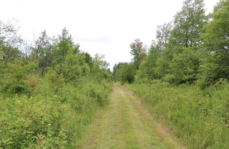 21-22 County Road 14, Grey Highlands | Image 1