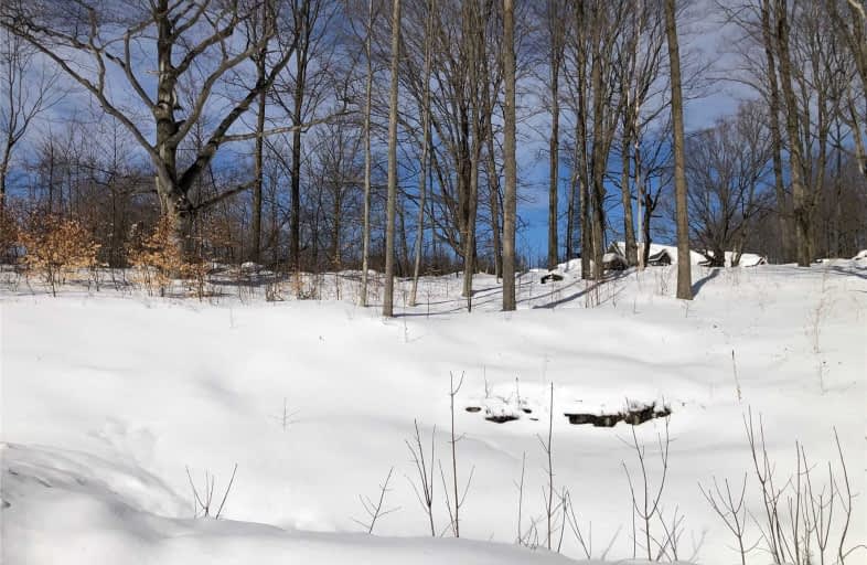 Lot 5 Butternut Court, Grey Highlands | Image 1