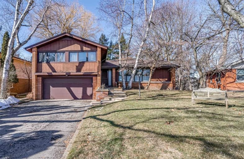 45 David Street, Hamilton | Image 1