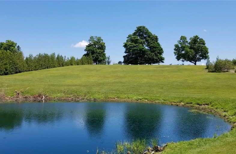 Ptlt4 Concession 2 Ndr Road Road, Grey Highlands | Image 1
