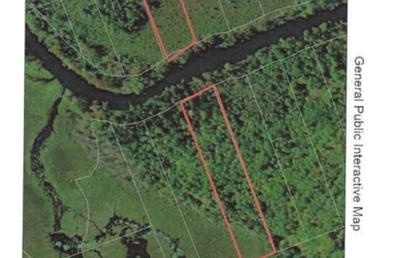 York River, Bancroft | Image 1