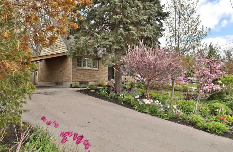 131 York Road, Hamilton | Image 1