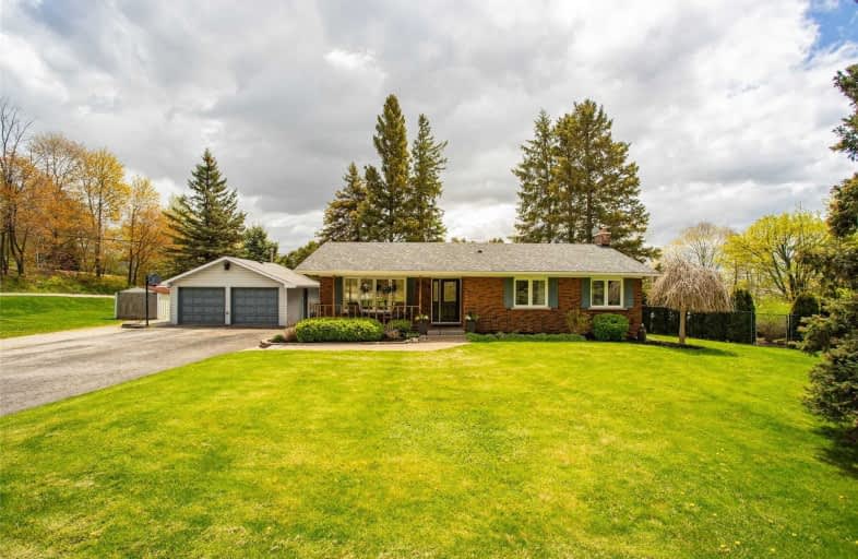 388 Carlisle Road, Hamilton | Image 1