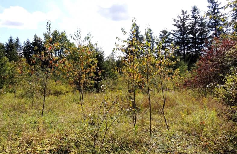 605111 Sideroad 13A Road, Grey Highlands | Image 1