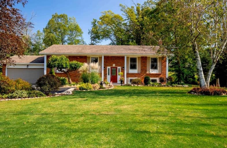 92 Carlisle Road, Hamilton | Image 1