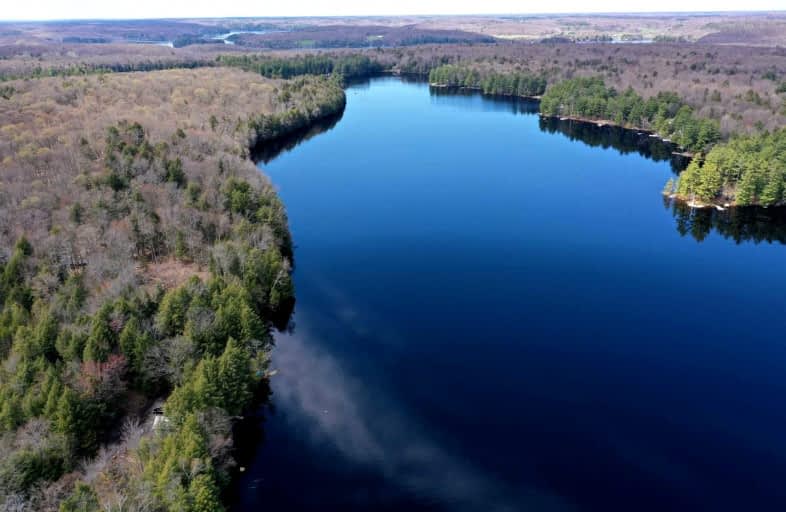 9 Lot-1310 Camel Lake Road, Muskoka Lakes | Image 1