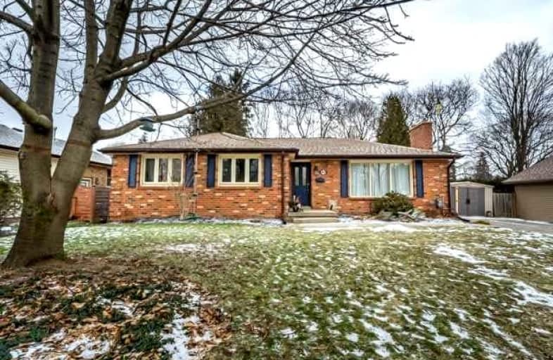 49 Hatton Drive, Hamilton | Image 1