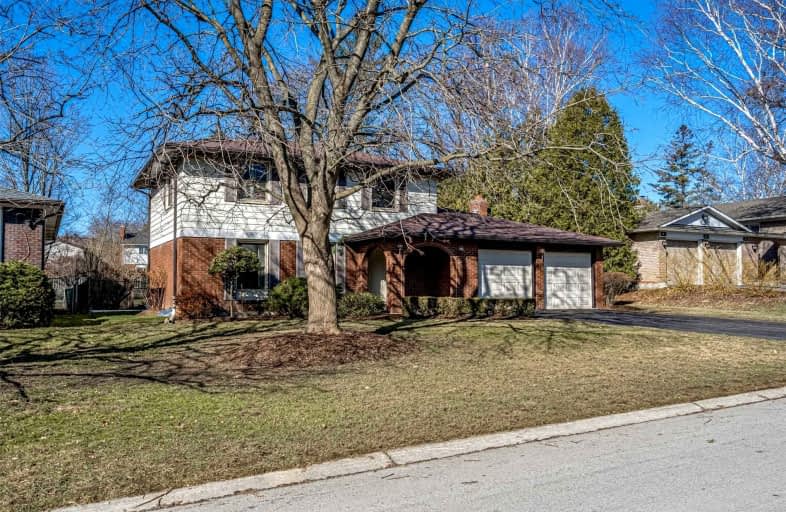 81 Terrace Drive, Hamilton | Image 1