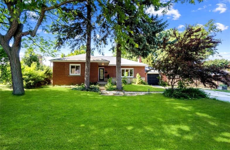 21 Calvin Street, Hamilton | Image 1