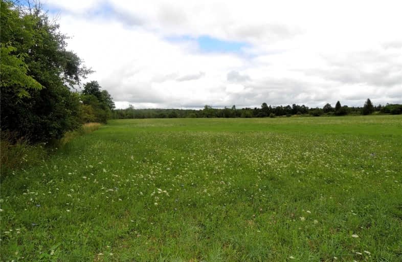 813625 East Back Line, Grey Highlands | Image 1