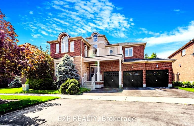 41 Watercliff Place, Hamilton | Image 1