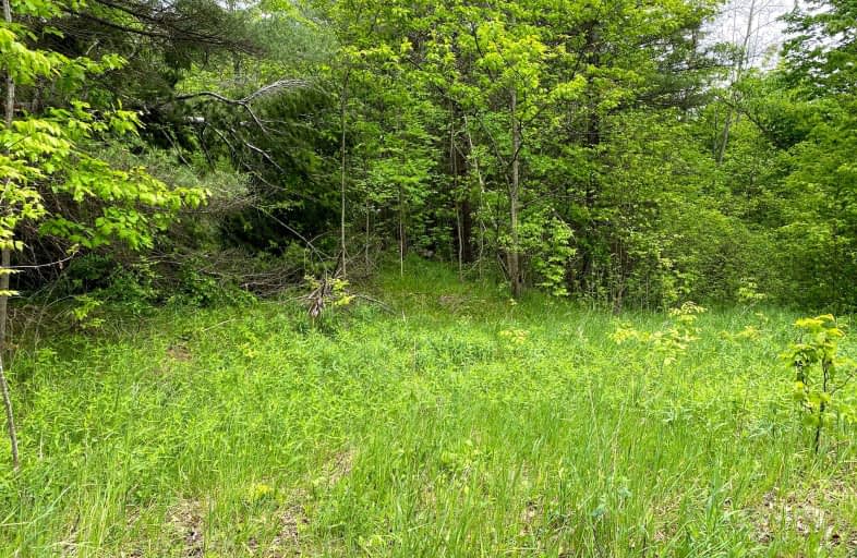 1915 County 48 Road, Havelock-Belmont-Methuen | Image 1