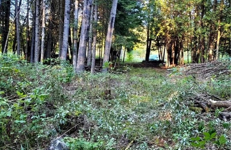 Pt3 County Road #46, Havelock-Belmont-Methuen | Image 1