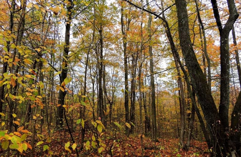 Lot 3 Concession 8 Road, West Grey | Image 1