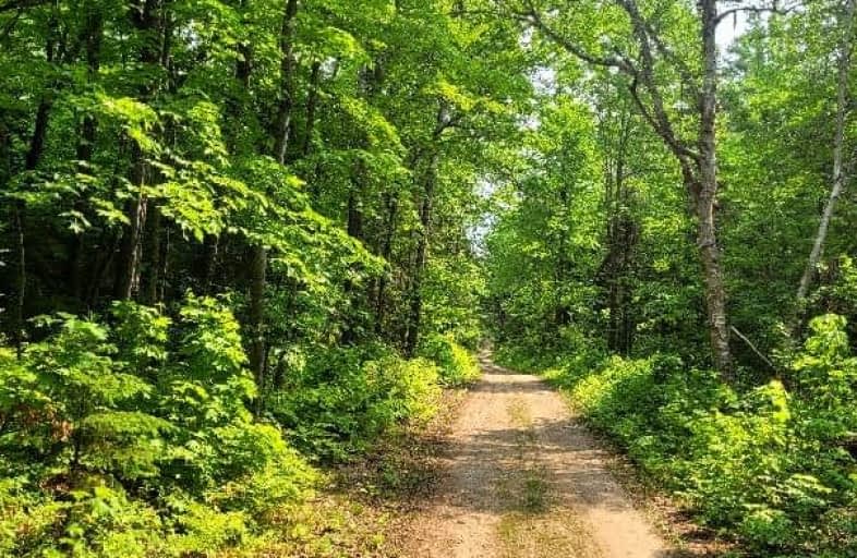 Muskrat Valley Road, Magnetawan | Image 1