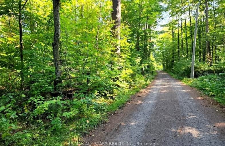 Donaldson Street, Lake of Bays | Image 1