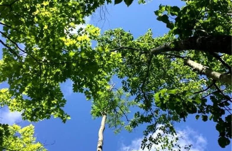 Path, Northern Bruce Peninsula | Image 1