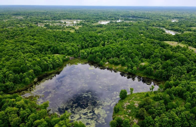  Black River Road, Kawartha Lakes | Image 1